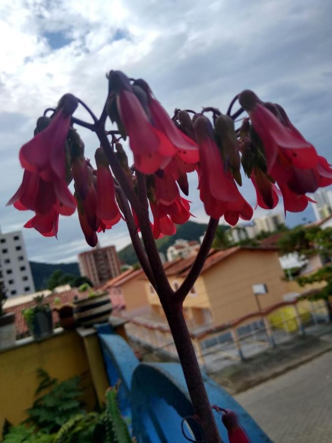Apartamento Com Piscina Na Martim De Sa カラグァタトゥバ エクステリア 写真